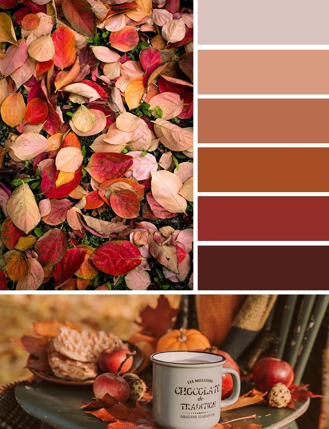 秋日的墙漆搭配，让我们的生活增加秋日气息