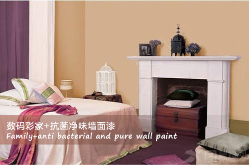 数码彩家+抗菌净味墙面漆涂装效果图